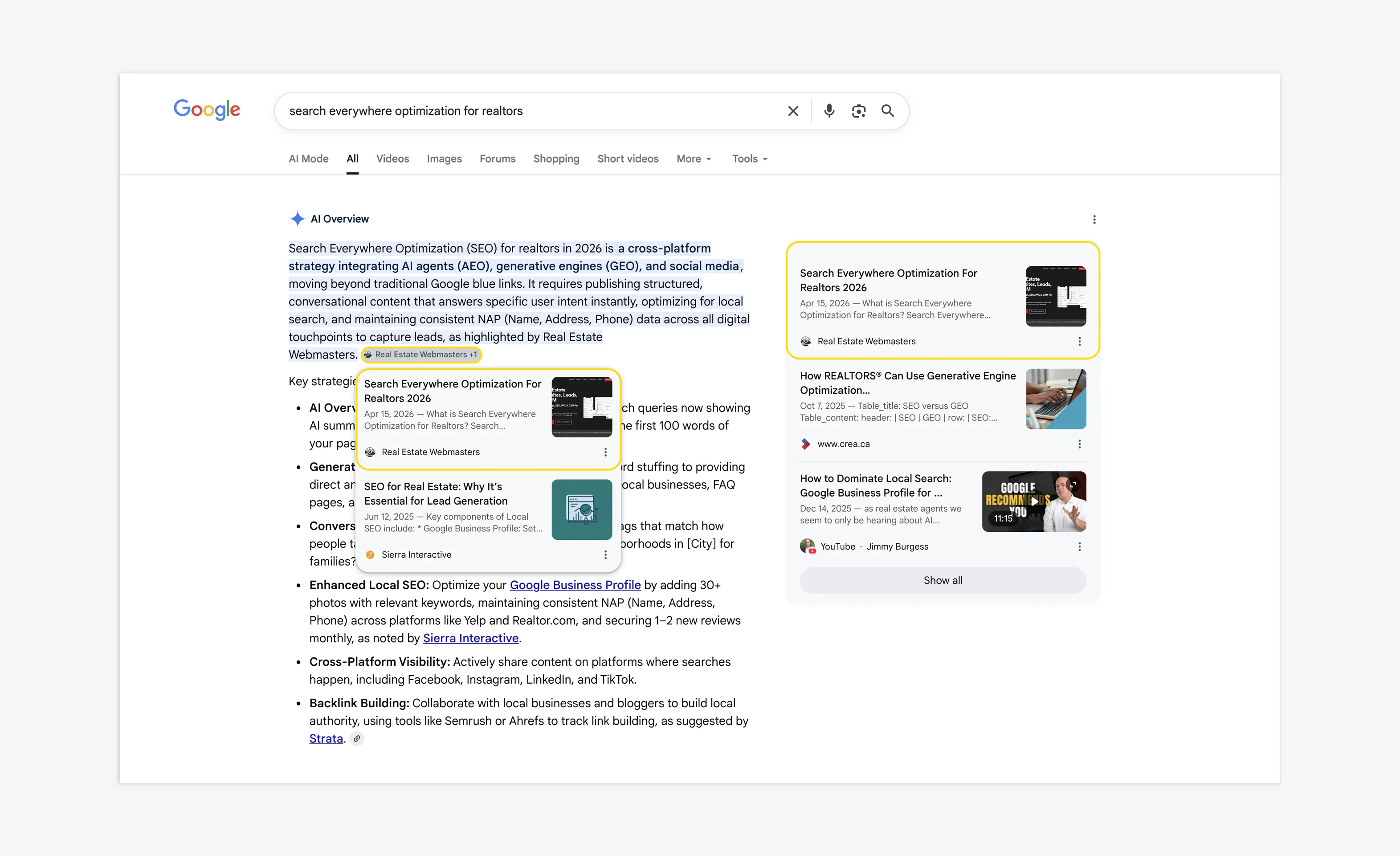 AI Overview search results